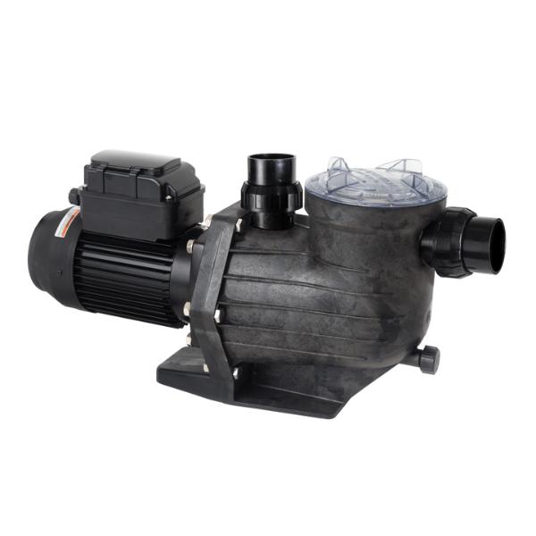 Davey PowerMaster ECO Pool Pump Davey PowerMaster ECO Pool Pump