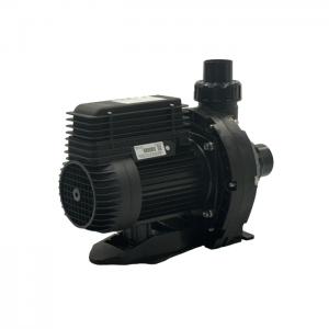 Astral XF250- 1.0HP Flooded Suction Pump Astral XF250- 1.0HP Flooded Suction Pump