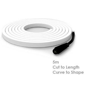 Spa Electrics Matrix LED Feature Lighting - Landscape Strip Light RGBW 5m + 5m Cable + CSL Driver + LV25 Transformer Spa Electrics Matrix LED Feature Lighting - Landscape Strip Light RGBW 5m + 5m Cable + CSL Driver + LV25 Transformer