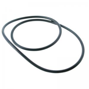 Waterco Vacuum Plate - P9101 O-Ring Waterco Vacuum Plate - P9101 O-Ring